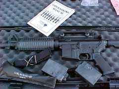 DPMS .22