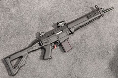 Sig 552