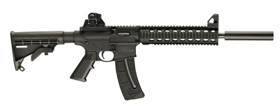 Click for full size image of the M&P15-22